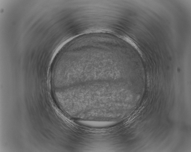 X0000067501124200605051756