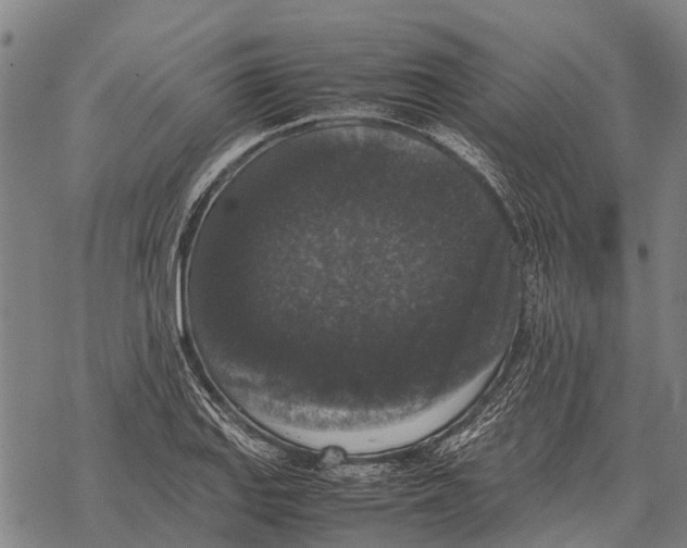 X0000067501127200605051756