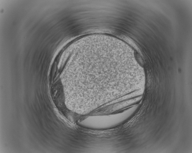 X0000067501132200605051756