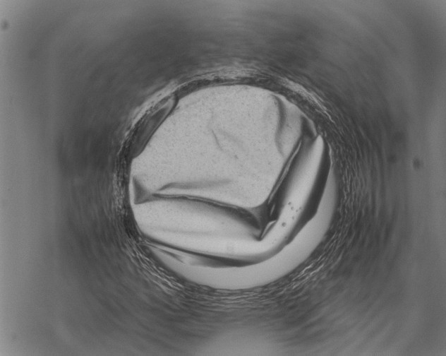 X0000067501160200605051756