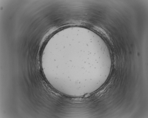 X0000067501172200605051756