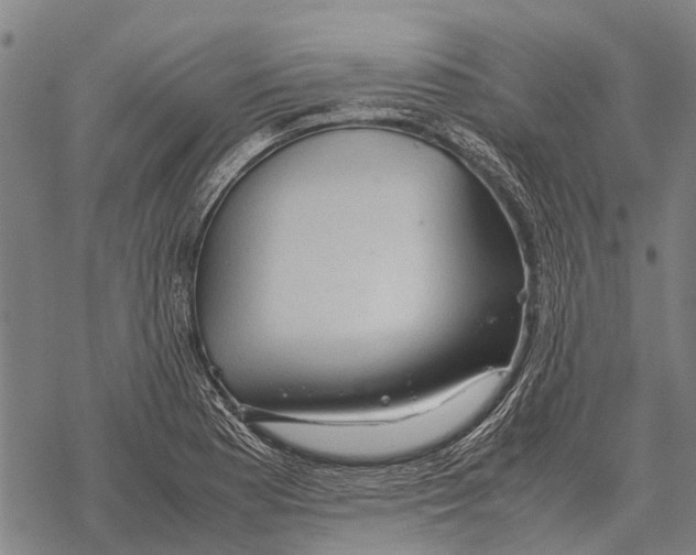 X0000067501177200605051755