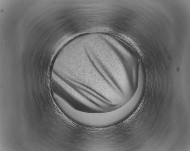 X0000067501184200605051755