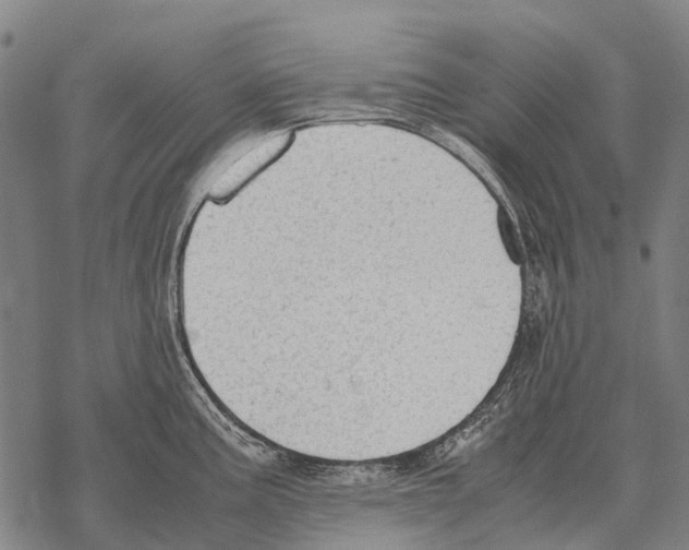 X0000067501195200605051755