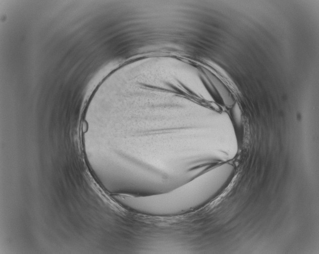 X0000067501196200605051755
