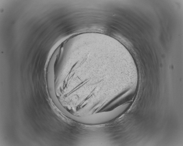 X0000067501200200605051755
