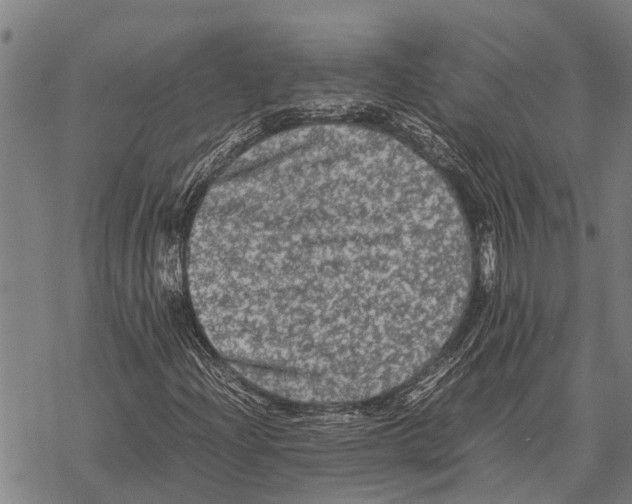 X0000067501204200605051754