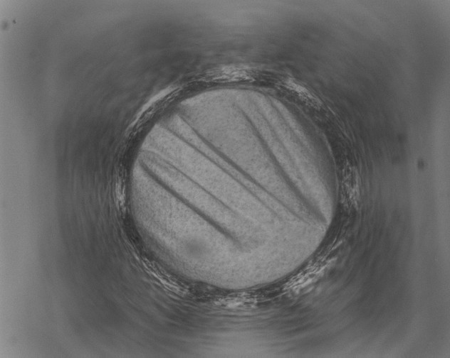 X0000067501206200605051754