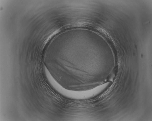 X0000067501210200605051754