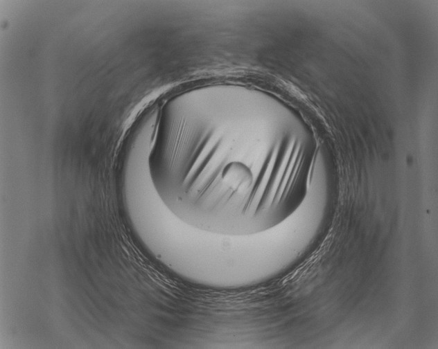 X0000067501214200605051755