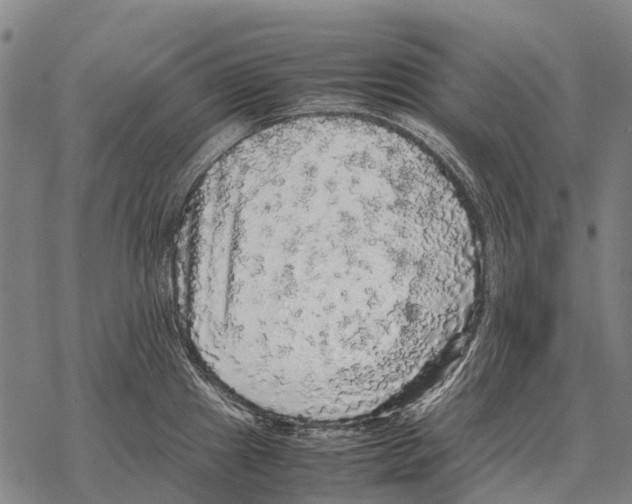 X0000067501241200605051755