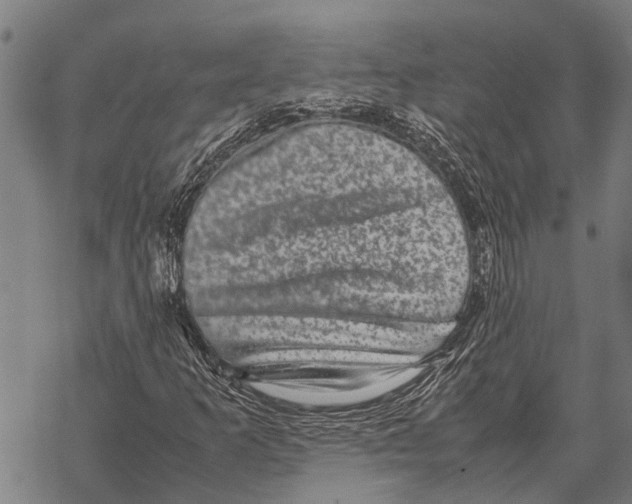 X0000067501253200605051754