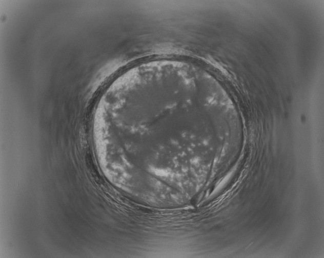X0000067501263200605051754