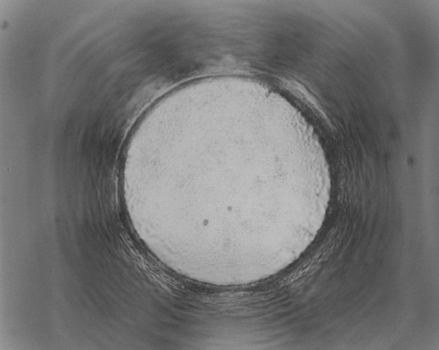 X0000067501268200605051754