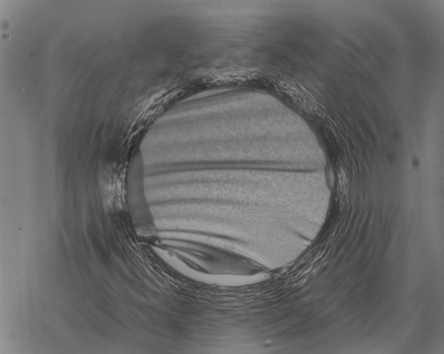 X0000067501300200605051753