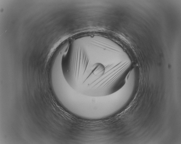 X0000067501310200605051753