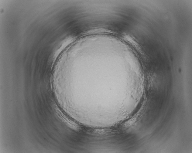 X0000067501322200605051753
