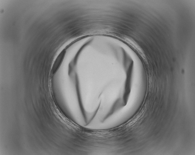 X0000067501340200605051753
