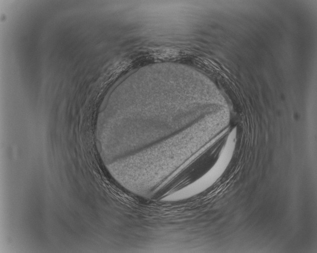 X0000067501345200605051753