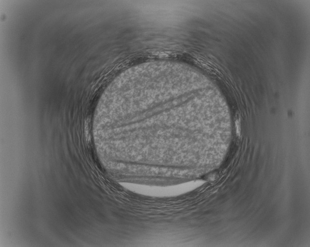 X0000067501347200605051753