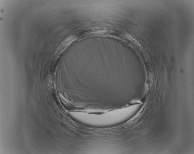 X0000067501353200605051753