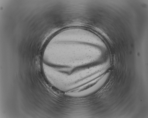 X0000067501356200605051753