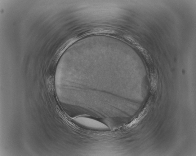 X0000067501369200605051752
