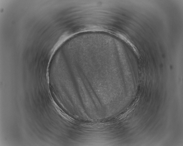 X0000067501372200605051752
