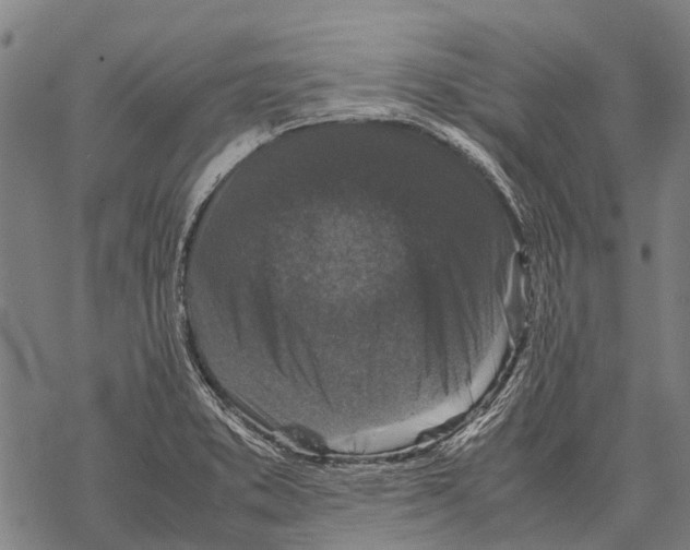 X0000067501373200605051752