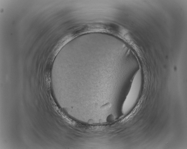 X0000067501377200605051752