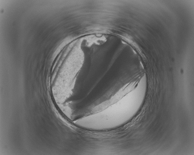 X0000067501383200605051752