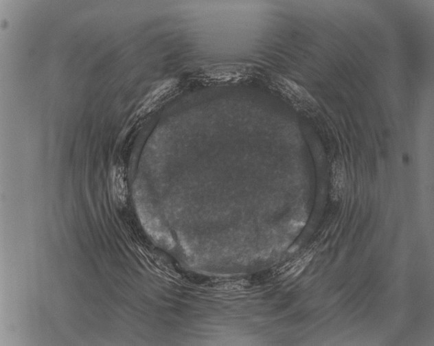 X0000067501394200605051751