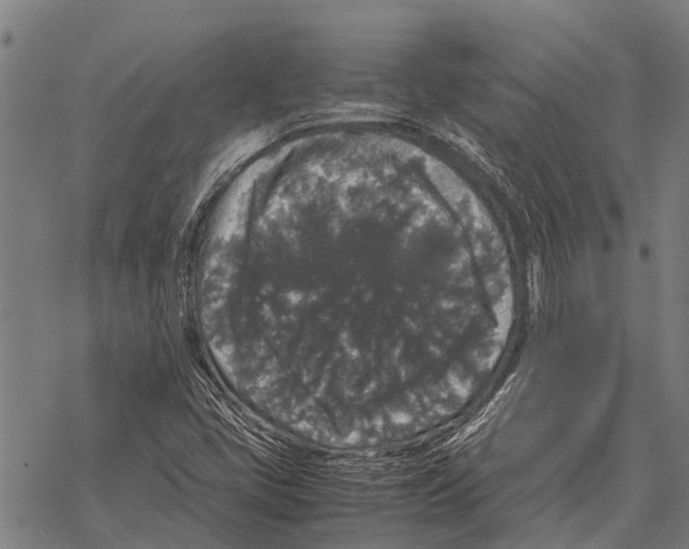 X0000067501405200605051751
