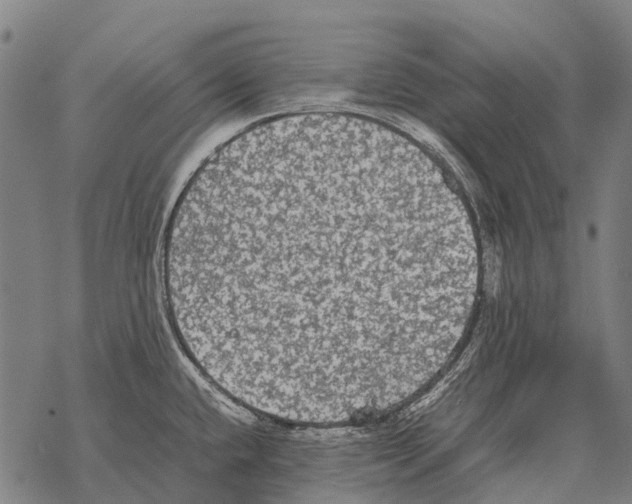 X0000067501432200605051752