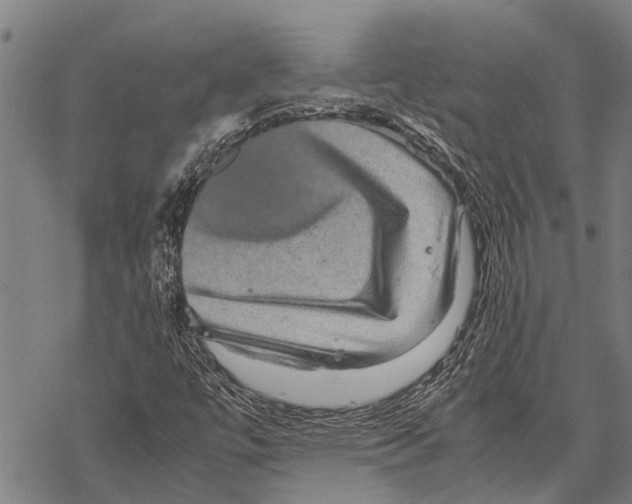 X0000067501447200605051751