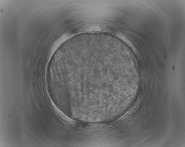 X0000067501475200605051750