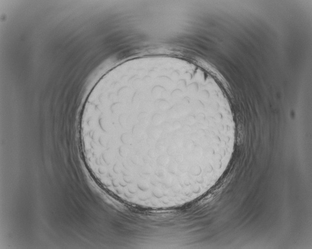 X0000067501483200605051750