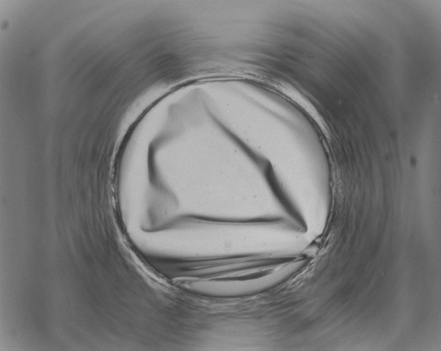 X0000067501485200605051750