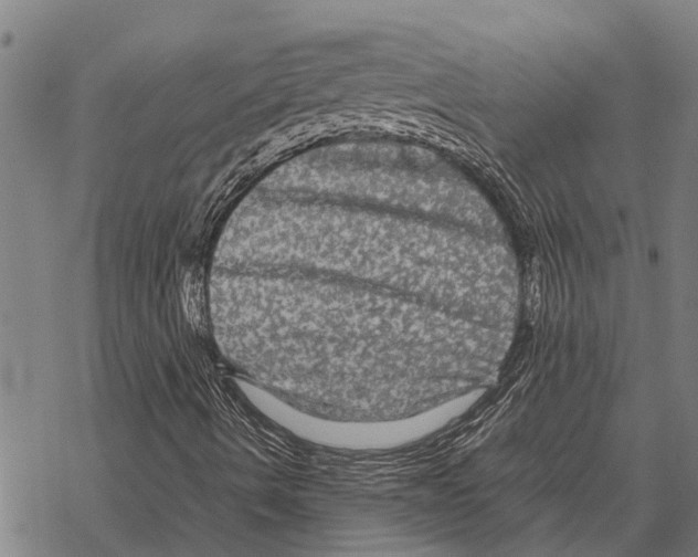X0000067501490200605051750