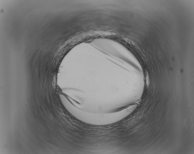 X0000067501492200605051750