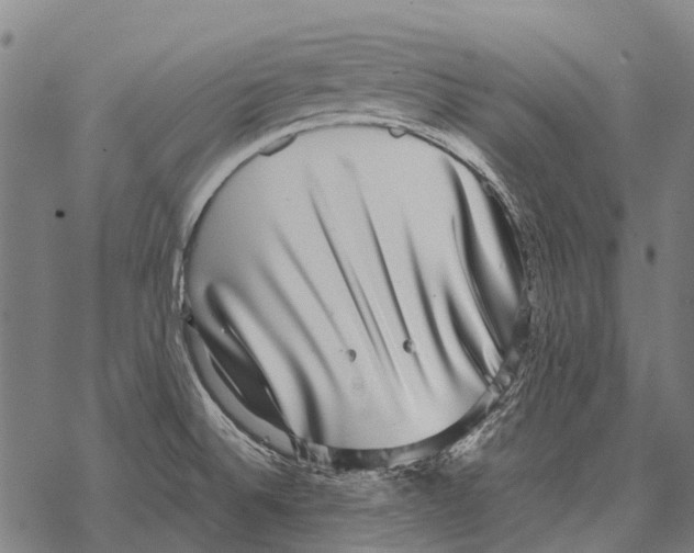 X0000067501524200605051750