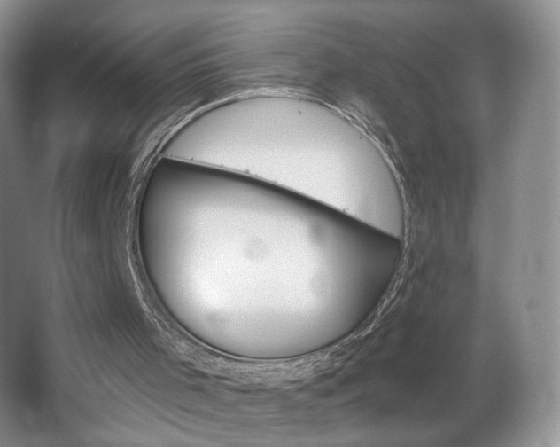 X0000067510001200604071101
