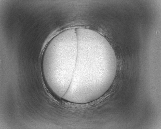 X0000067510004200604071101