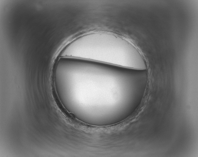 X0000067510007200604071101