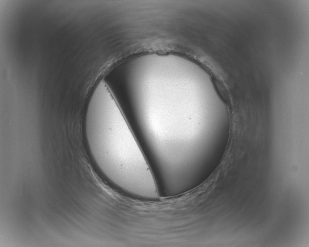 X0000067510009200604071101