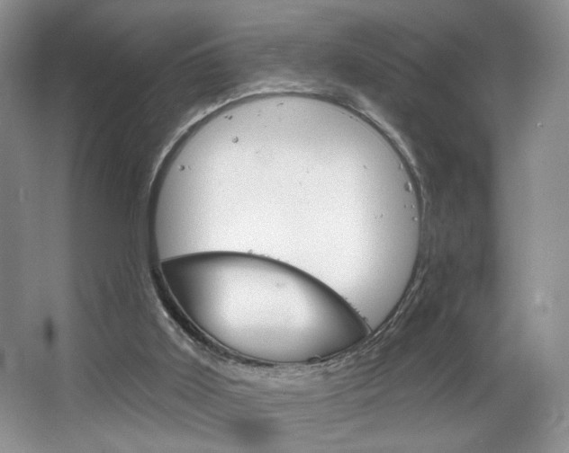 X0000067510011200604071101