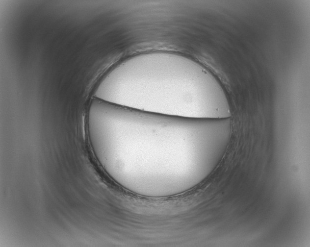 X0000067510014200604071100