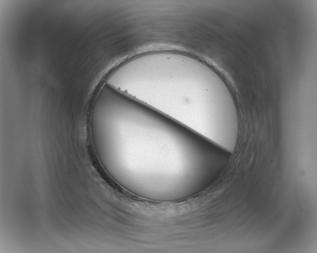 X0000067510015200604071100