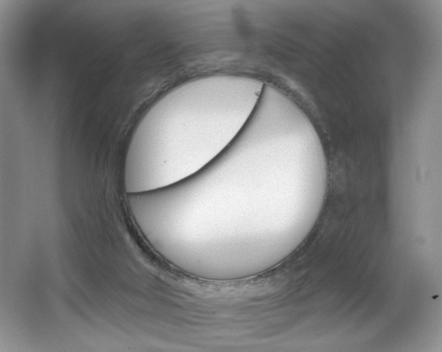 X0000067510018200604071100