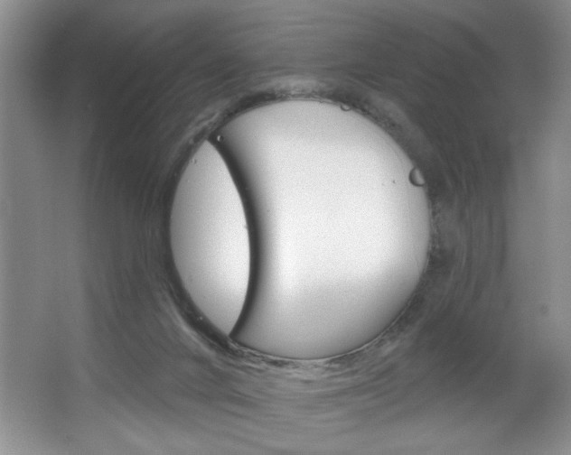 X0000067510024200604071100